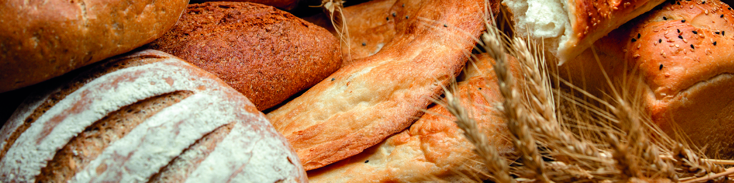 La boulangerie au levain à Bruxelles : quels besoins en main-d’œuvre ?